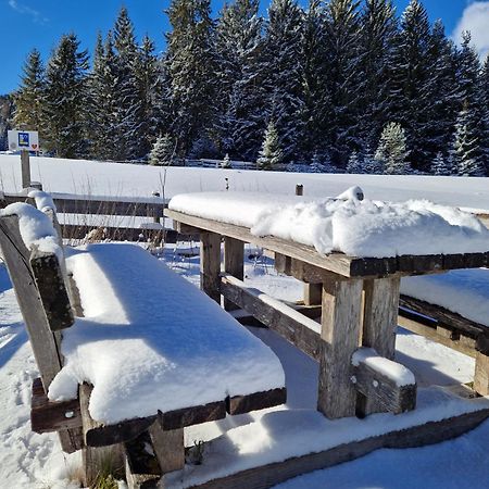 Wohlfuehl-Appartement Bergsee Family - Am Wildsee - Sup Und Schlitten For Free Seefeld in Tirol Bagian luar foto