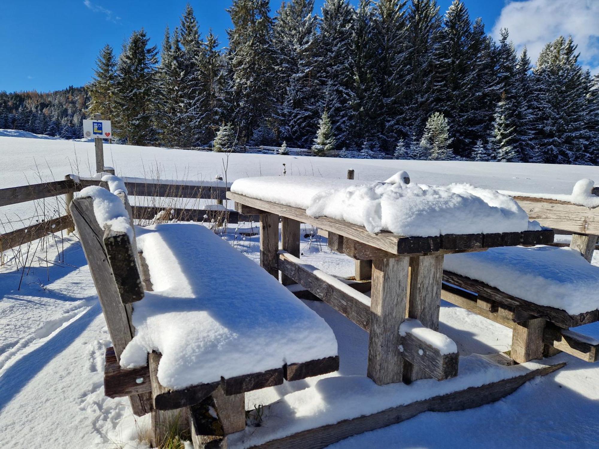 Wohlfuehl-Appartement Bergsee Family - Am Wildsee - Sup Und Schlitten For Free Seefeld in Tirol Bagian luar foto