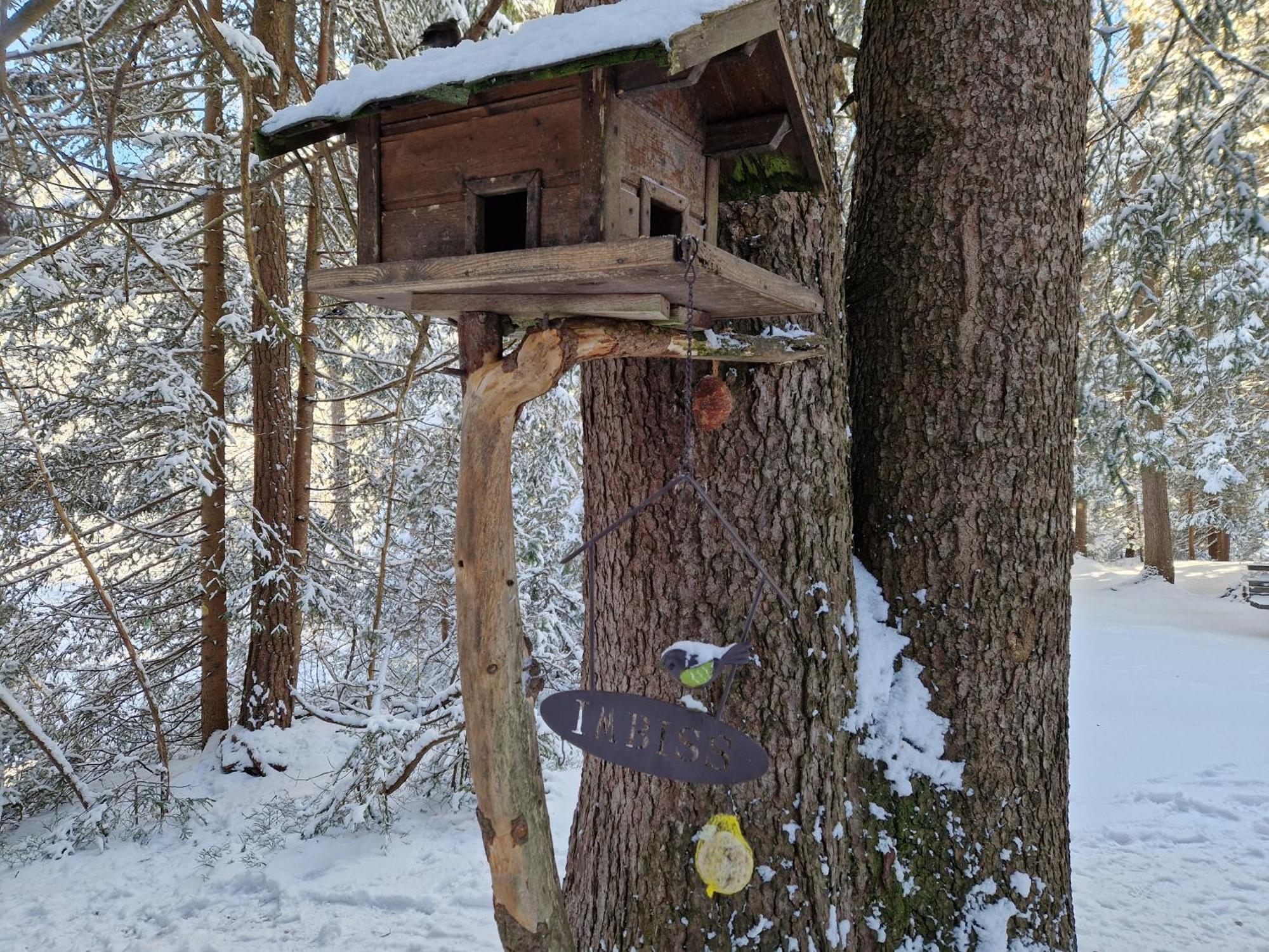 Wohlfuehl-Appartement Bergsee Family - Am Wildsee - Sup Und Schlitten For Free Seefeld in Tirol Bagian luar foto